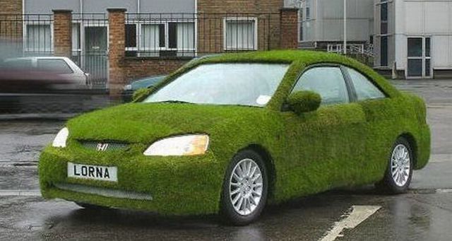 苔の車